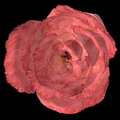 Your Mind, This Moment. Courtesy of San Jose Museum of Art