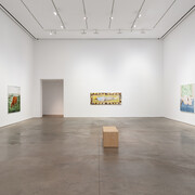 Tanya Merrill, Land animal, house animal, exhibition view. Courtesy of 303 Gallery