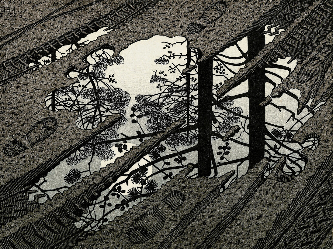 Maurits Cornelis Escher, Superficie increspata, 1950
Linoleum, 26 x 32 cm, Collezione Giudiceandrea Federico, All M.C. Escher works © 2015 The M.C. Escher Company. All rights reserved