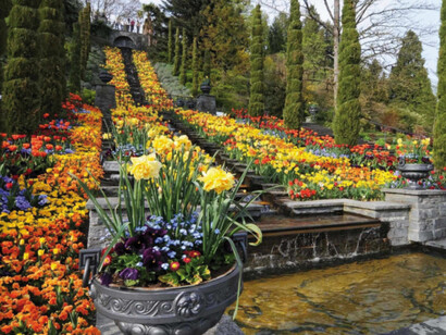 La scalinata in versione primaverile. Foto Enzo Valenti