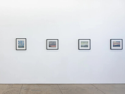 Herald Nix, Untitled landscape, exhibition view. Courtesy of Wilding Cran Gallery 