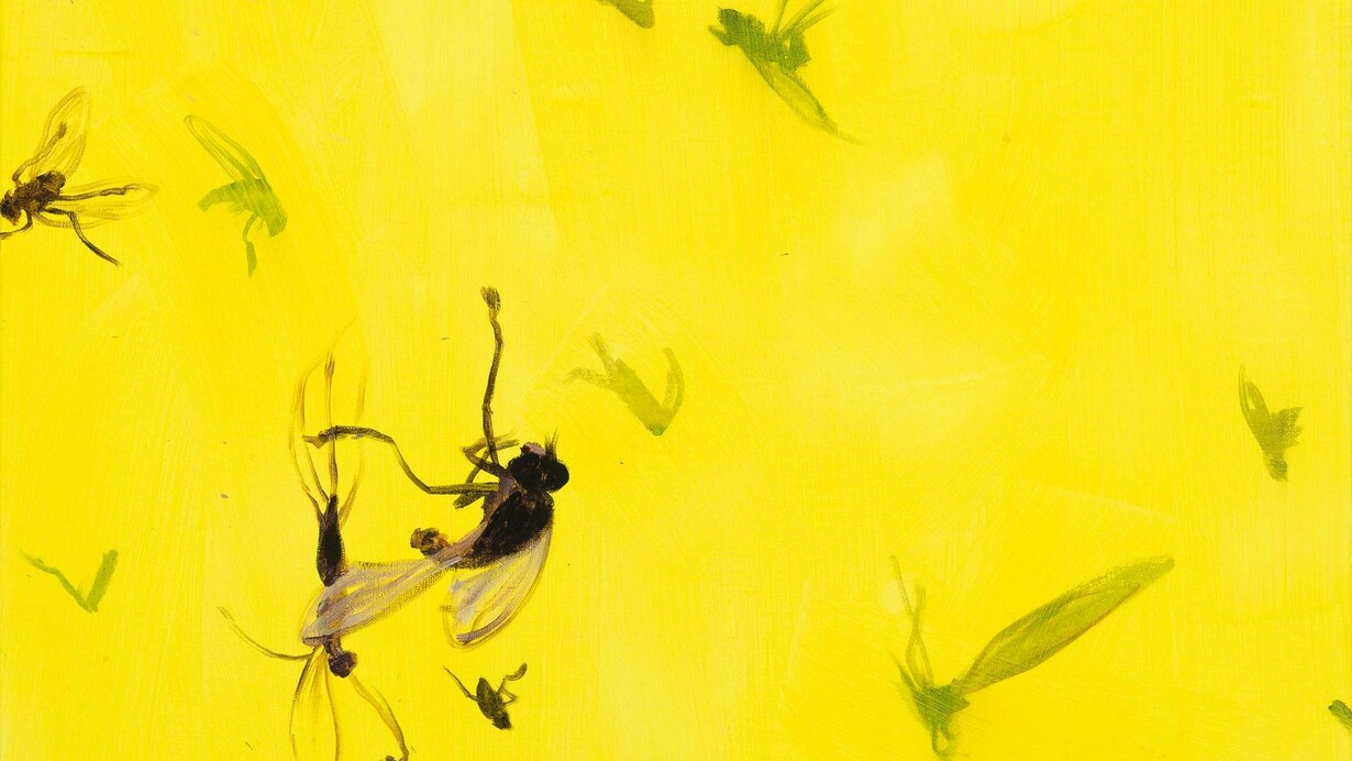 Jaan Toomik, Flies (2022), acrilico su tela, 80 x 120 cm