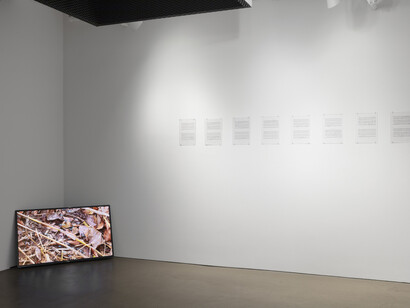 Tandem. Courtesy of Alexander and Bonin