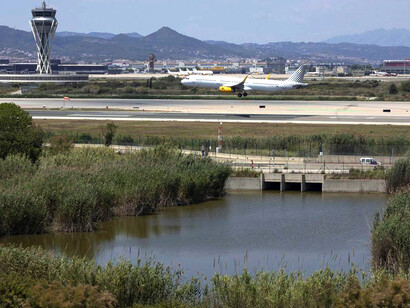 La Ricarda es un espacio de pinares y humedales habitado por 43 especies incluidas en la directiva de aves protegidas, además de orquídeas (hasta 23 tipos diferentes), peces y reptiles