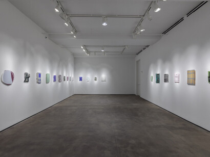 Sam Moyer. Courtesy of Sean Kelly Gallery