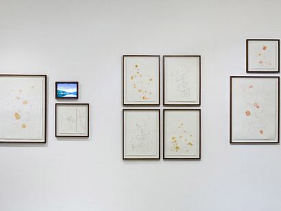 Varis artistas, Entre lo que se ve y se adivina, vista de exhibición. Cortesía de la Galería Otto 