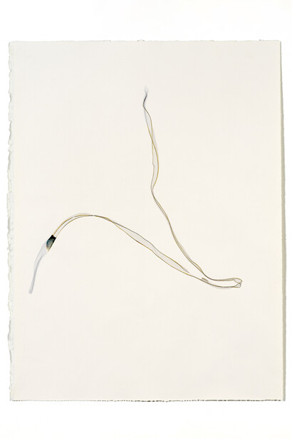  Untitled Small #8, 2019. Emulsion lift on paper Cm 66x50
