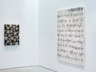 Tonic of Wildness. Courtesy of Marianne Boesky Gallery