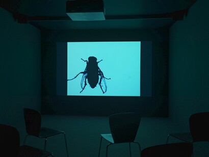 Dietmar Brehm, Point and echo, exhibition view. Courtesy of Schlossmuseum Linz