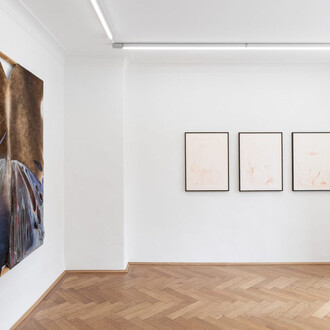 Tyler Eash und Laura Ní Fhlaibhín, Breaking / briseadh / wa’aidom, ausstellungsansicht. Mit freundlicher genehmigung der Britta Rettberg Galerie
