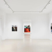 Mircea Suciu, Champagne and strawberries, exhibition view. Courtesy of Keteleer Gallery