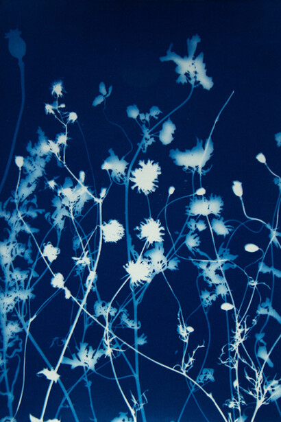 Pipo Nguyen-duy, Untitled L30, 1998. Courtesy of ClampArt