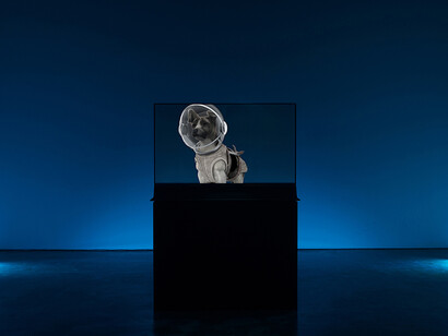 Sejin Kim
Messenger(s), 2019
2-channel 3D motion graphic video on each OLED & LED Monitor, stereo sound,
LED lights, 52sec, 1min 25sec, each looped.
Courtesy of the Artist and Gallery Baton