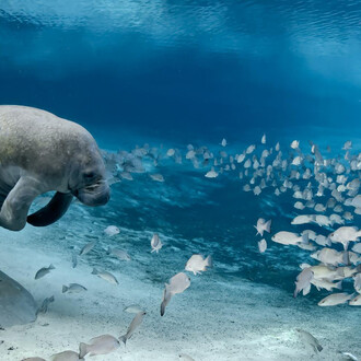 Nature’s Best Photography. Courtesy of Smithsonian's National Museum of Natural History