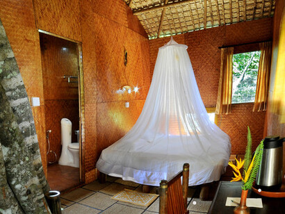 Rustic tree house interiors, Vythiri