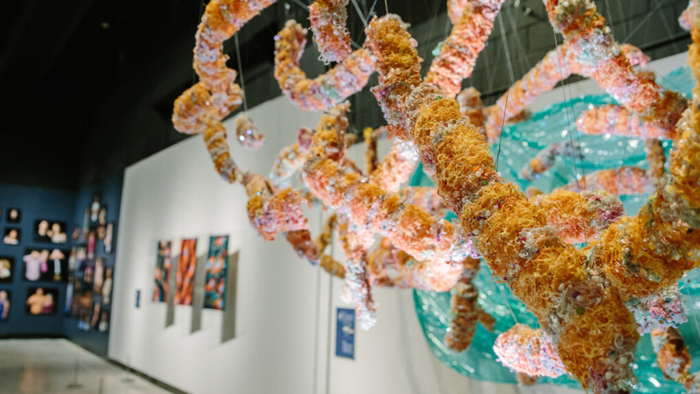 Many Faces of Our Mental Health. Courtesy of Museum of Science