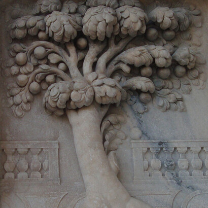 L'albero con frutti maturi