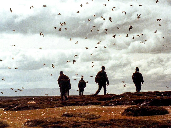 Marineros británicos del HMS Cardiff llegan a tierra en la isla Borbón (Pebble Island), junio de 1982