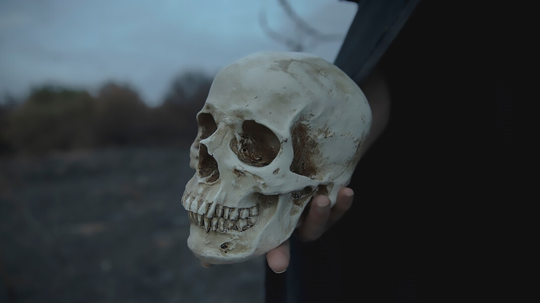 An illustration depicting a person holding a skull, symbolizing crimes, war crimes, and crimes against humanity