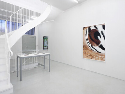 Re: Re: Black Macho. Courtesy of PPC Philipp Pflug Contemporary