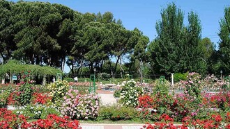 Madrid. La rosaleda del Parque del Oeste