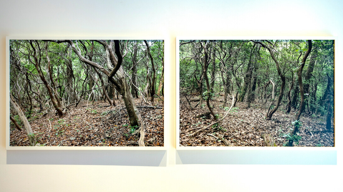 Hilary Tolan, In this Place, exhibition view. Courtesy the artist and Kingston Gallery