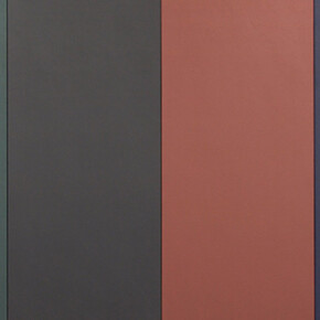 Cassio Michalany. Courtesy of Galeria Raquel Arnaud 