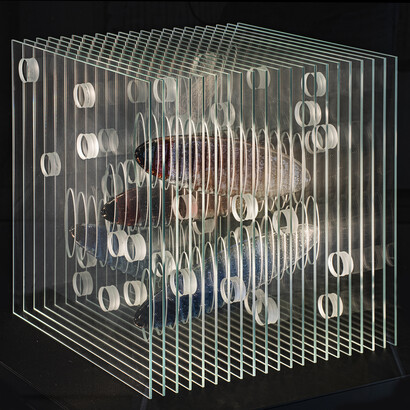 Olesya Kot, Transparent world, exhibition sculpture. Courtesy of Erarta Museum