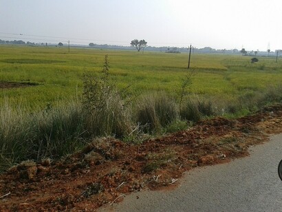 Jajpur, Odisha, India