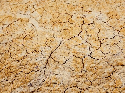 Unidos frente a los retos del presente