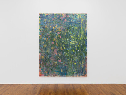 Trevor Shimizu, exhibition view. Courtesy of 47 Canal 