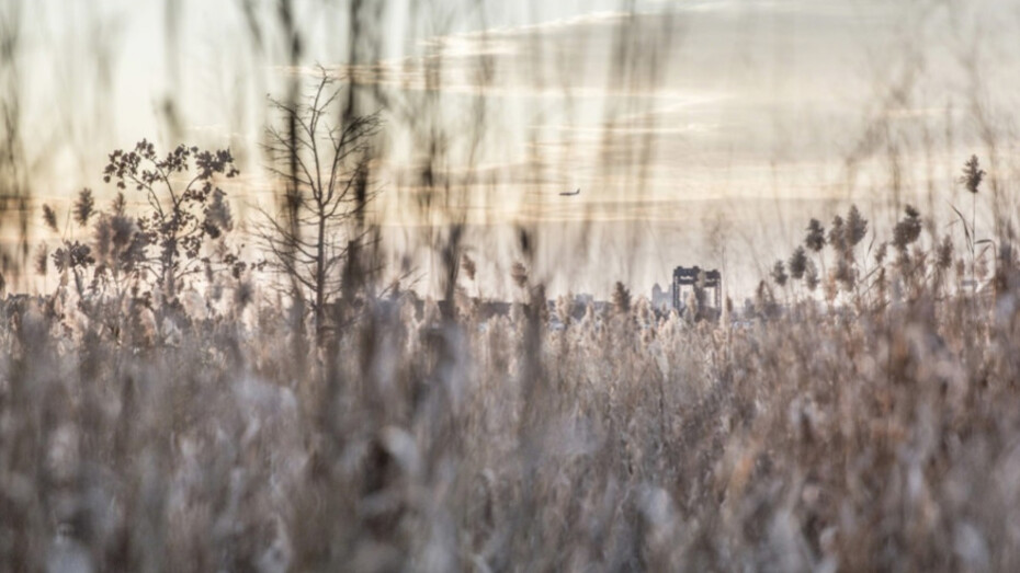 Meadowlands. Courtesy of Soho Photo Gallery