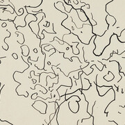 In Search of the Total Drawing. Courtesy of MOCAK