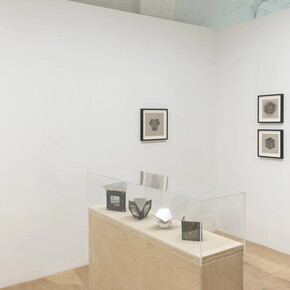 Zoe Pettijohn Schade, Installation view of the hard problem, 2023. Courtesy of Kai Matsumiya Gallery