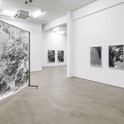 Berit Schneidereit, The interstices of this place, exhibition view. Courtesy of G2 Kunsthalle