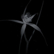 Penelope Gottlieb. Courtesy of Heather James Fine Art