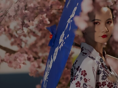 Picture-perfect moment: A Japanese woman elegantly dons a kimono while standing beneath a cherry blossom tree, her Wagasa umbrella adding to the charm of Japan's scenic beauty
