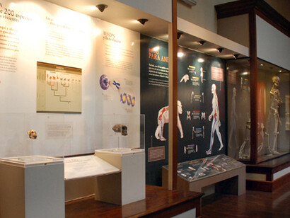 Ser y pertenecer. Courtesy of Museo de La Plata