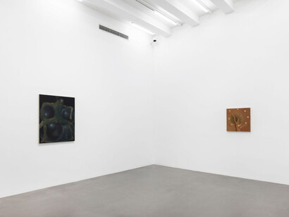 Yan Bingqing, And thus it goes, exhibition view. Courtesy of Galerie Urs Meile