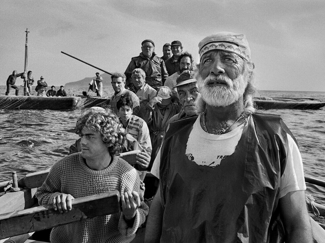 Sebastião Salgado, Traditional tuna fishing ritual La Mattanza, Trapani, Sicily, Italy, 1991, gelatin silver print, 50 x 68 inches/127 x 172.7 cm © Sebastião Salgado/Amazonas Images