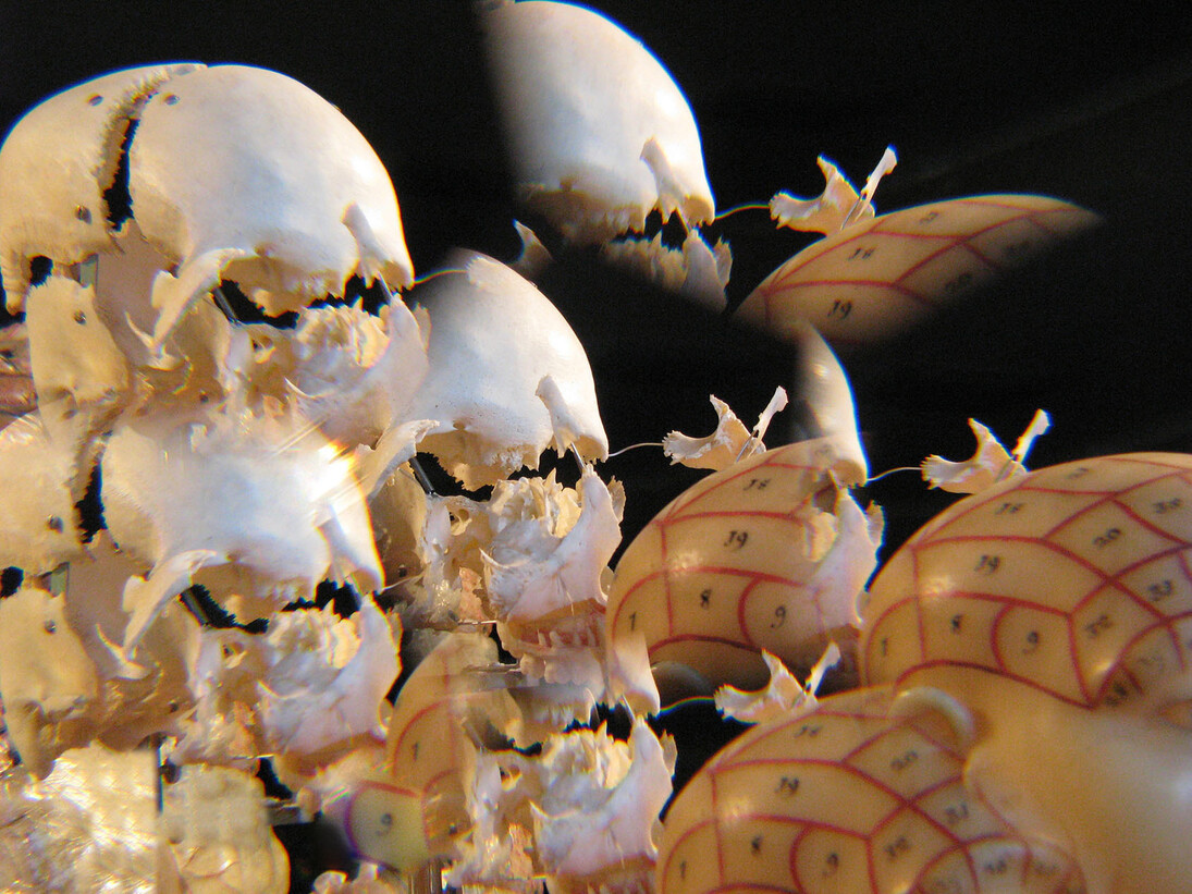 Beatrice M. Serpieri, Imago mundi