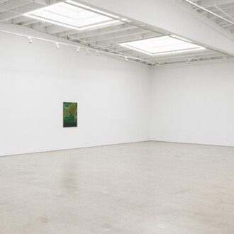 Randy Wray, Hothouse, exhibition view. Courtesy of Karma Gallery