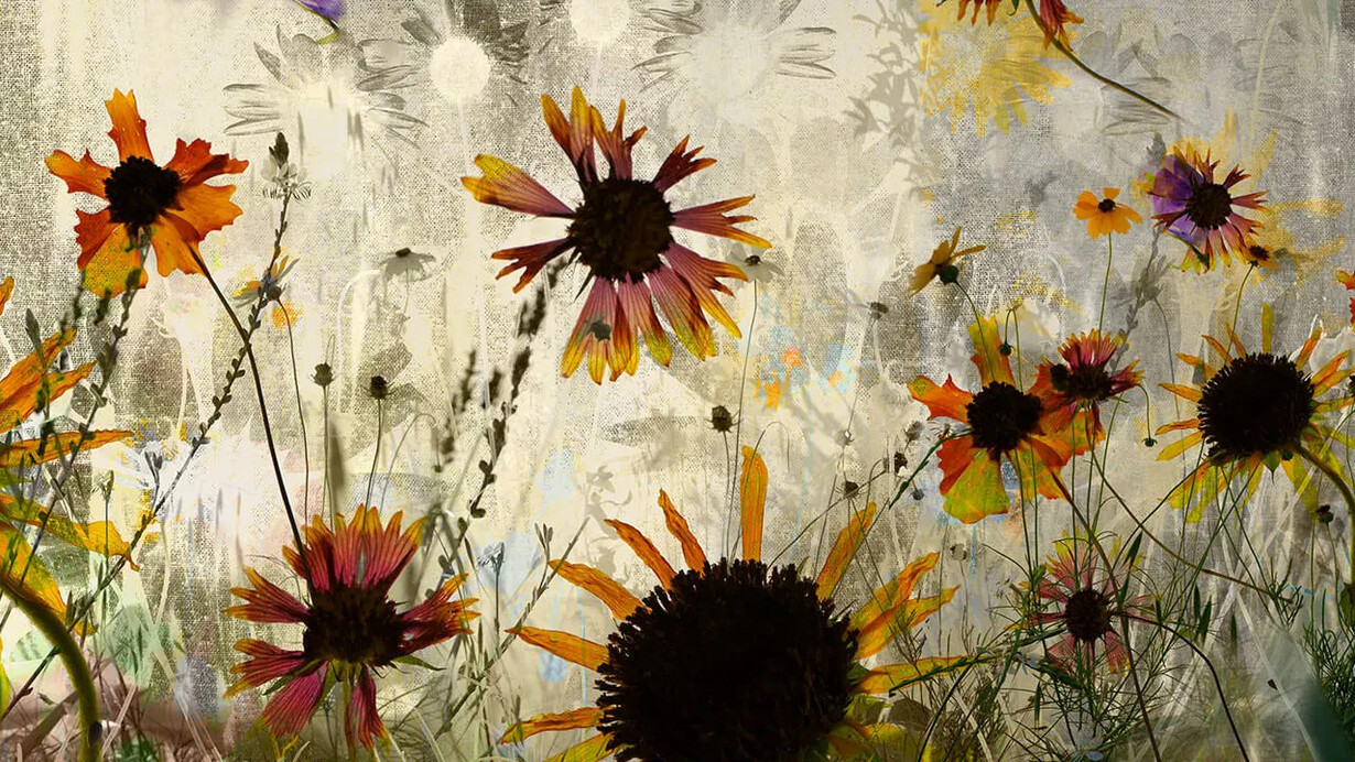 Elizabeth Chiles, Meadow with sunflowers, 2024. Courtesy of Koslov Larsen