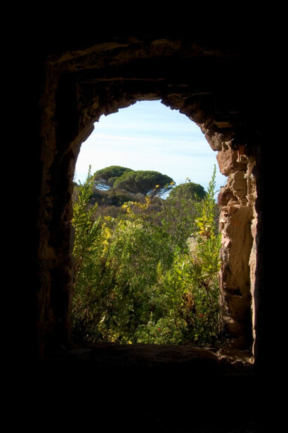 Abandoned house in Capraia