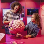 Operation ouch! Brains, bogies and you, exhibition view. Courtesy of Science and Industry Museum