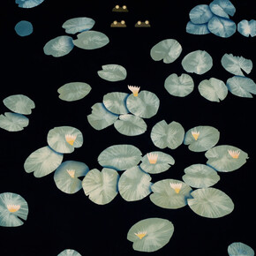 Casey Roberts, Frog Pond, cyanotype, gouache, and phosphorescent paint on paper, 35x42 inches, copyright the artist. Courtesy the artist and Momentum Gallery
