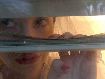 Jennifer Sullivan , Window Kitty, 2015, Ditigal Video, TRT: 03:17
