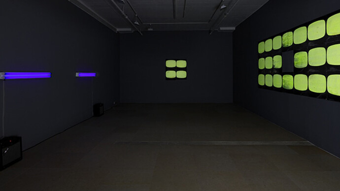 Introducing Tony Conrad. Courtesy of Carpenter Center for the Visual Arts