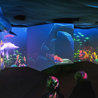 Maria the Sturgeon’s dream, exhibition view. Courtesy of Estonian Natural History Museum