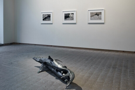 Installation View of Bond and Wormhole i, ii, iii, 2015. Patinated bronze (Bond), Archival pigment print (Wormhole) 42.5 x 183 x 71 cm (Bond), 57 x 71.8 x 3.5 cm (Wormhole, framed). Courtesy the artist and Frith Street Gallery, London. Photography by Steve White.